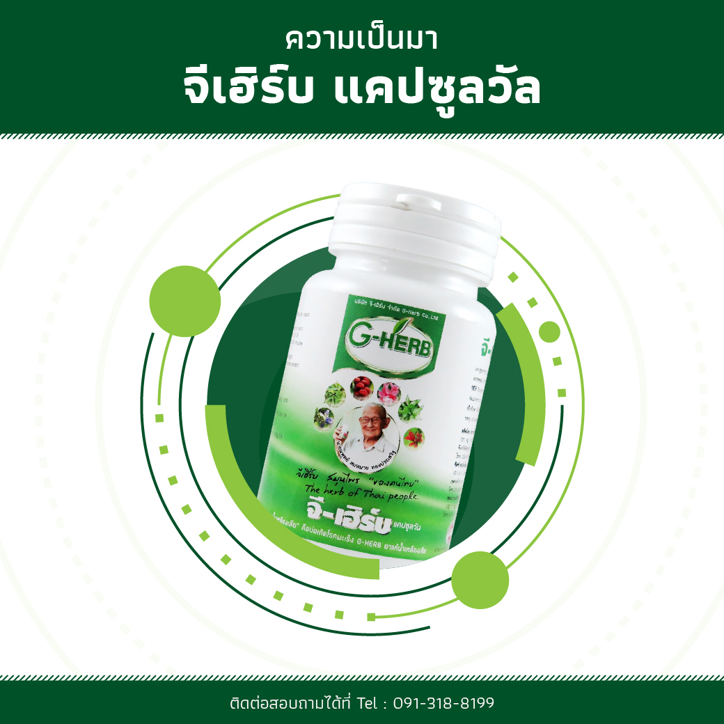 ความเป็นมา-จีเฮิร์บ