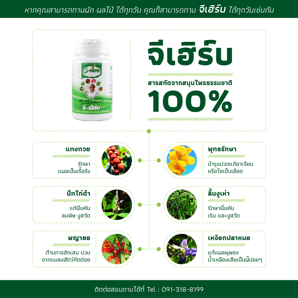 จีเฮิร์บธรรมชาติ100%